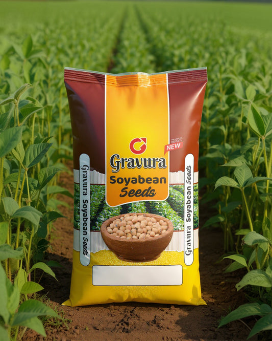 GR97 - Modern Soyabean Seeds Packaging Design Template