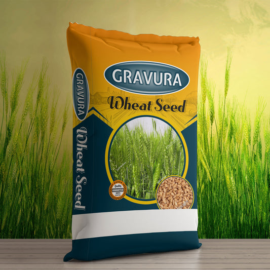 GR100 - Premium Wheat Seed Packaging Design Template