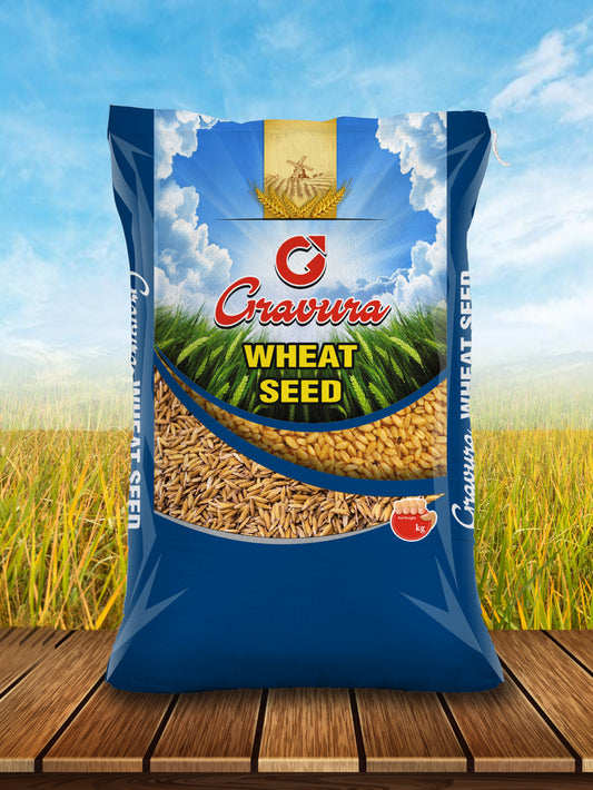 GR98 - Elegant Wheat & Barley Seeds Packaging Design Template