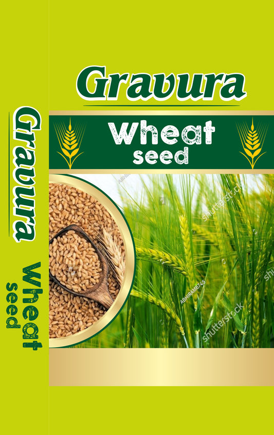 GR99 - Natural Wheat Seed Packaging Design Template